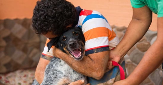 Man holds pet dog in aftermath of Hurricane Otto