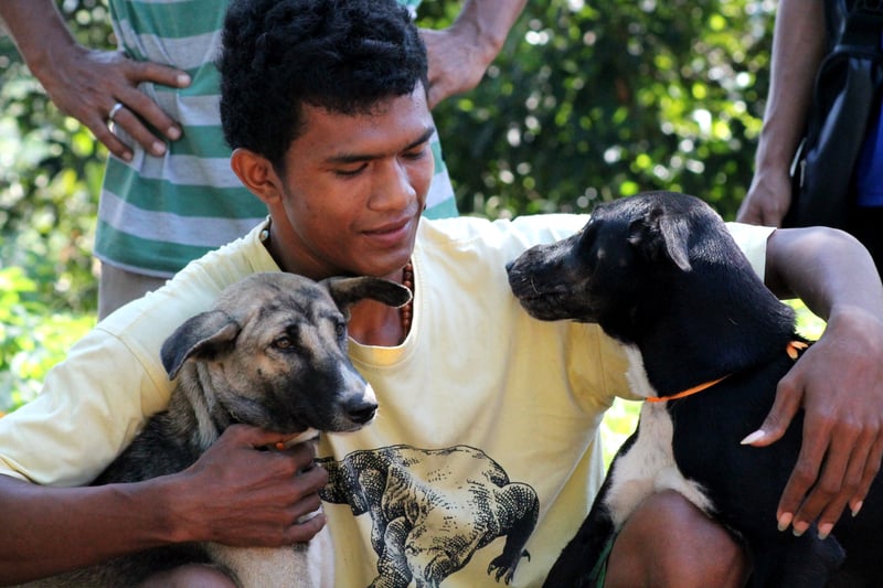 A man with his two recently vaccinated dogs in Flores, Indonesia