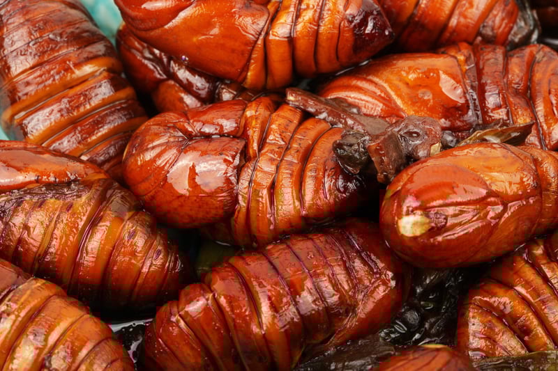 silkworms 