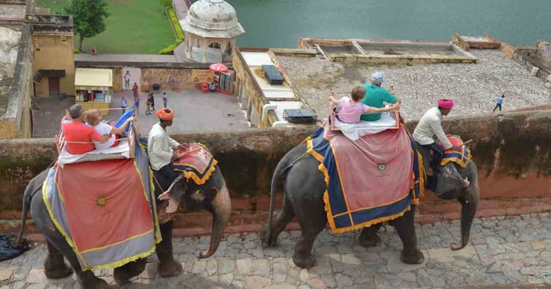 No Pride In Elephant Ride
