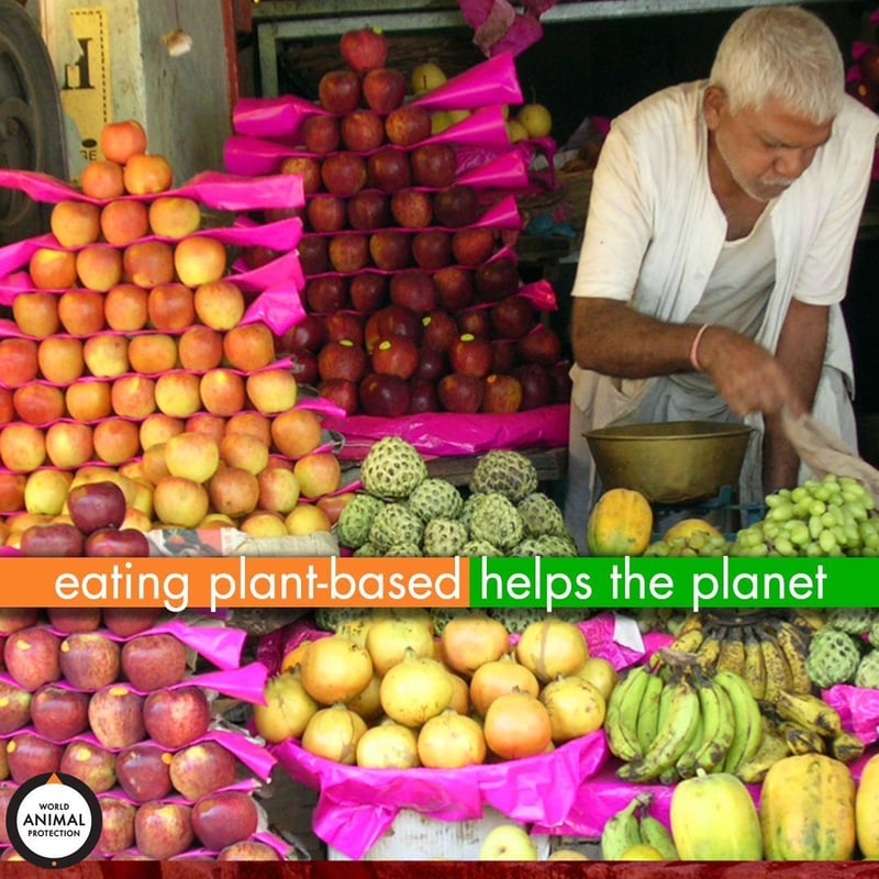 eat less meat and more plant based food