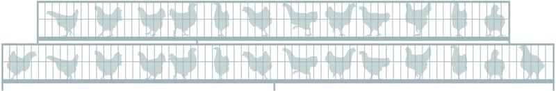 lwf_silhouette
