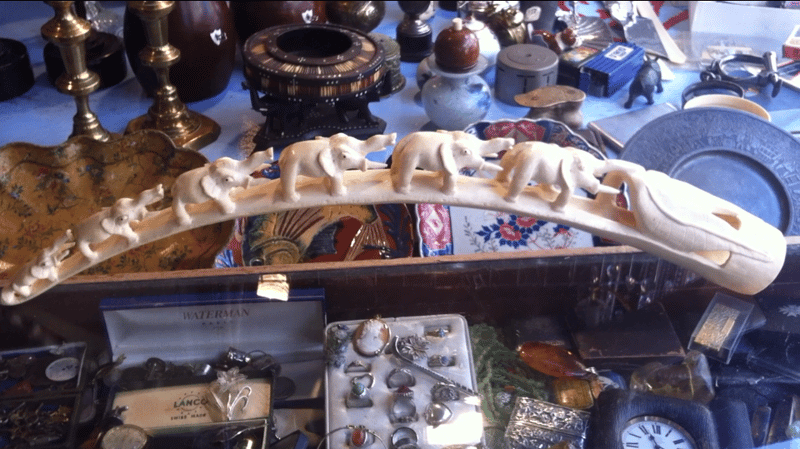 Ivory tusk